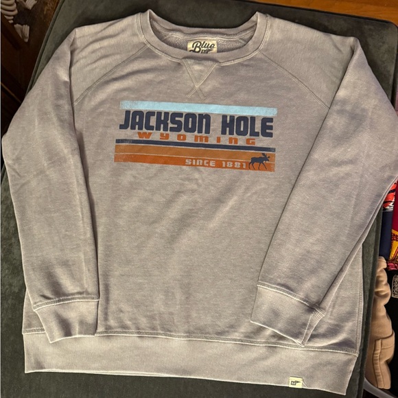Gildan Gray Jackson Hole Wyoming Crewneck Sweater - Picture 1 of 7
